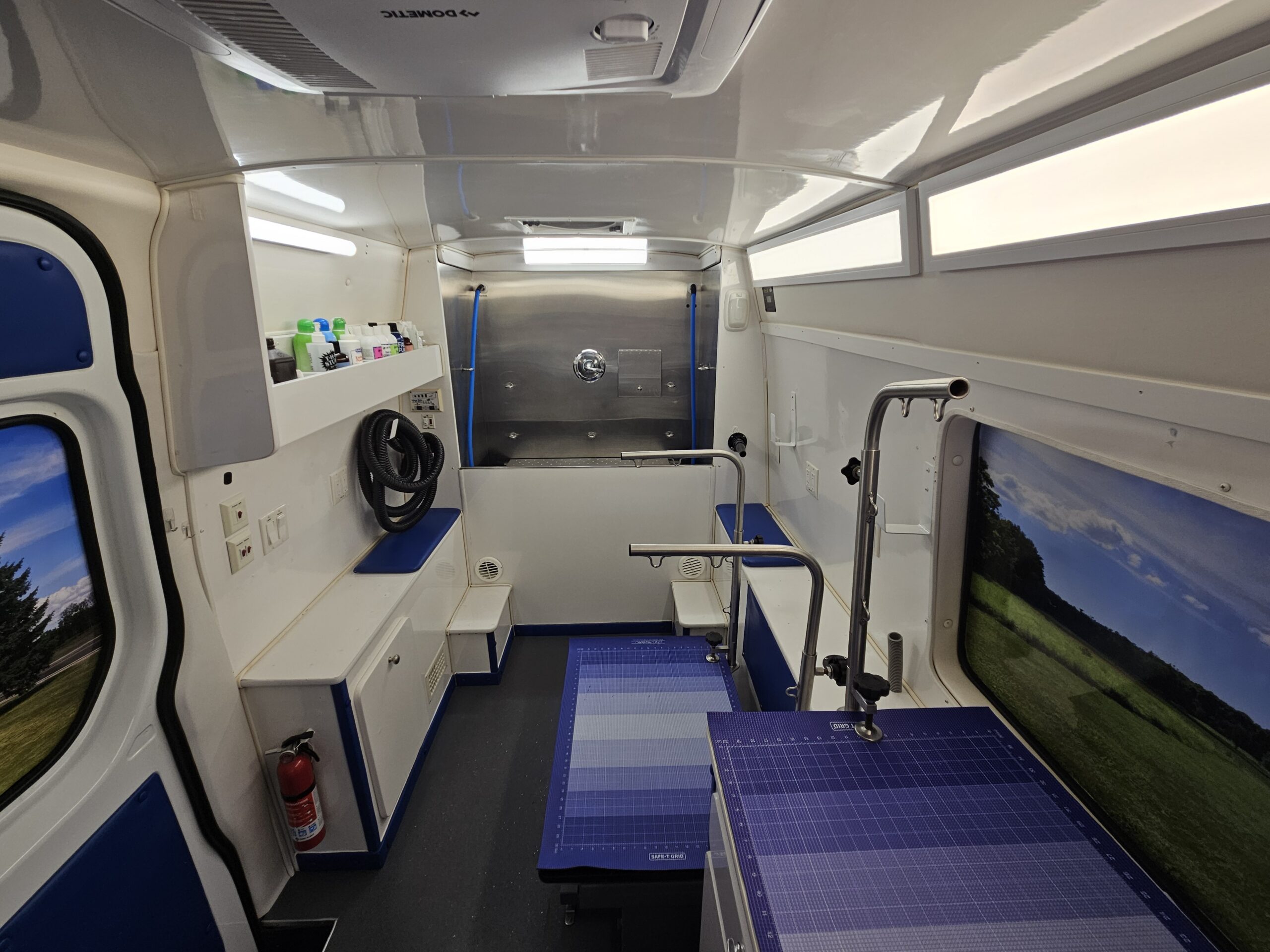 Bright interior of the Green Dog mobile grooming salon