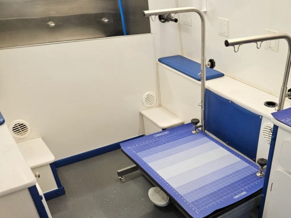 Electric grooming table lowered inside the Green Dog mobile salon