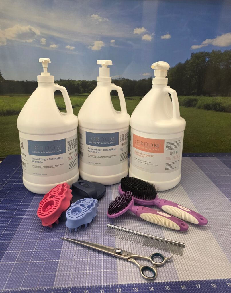 Gallon jugs of dog shampoo and conditioner with brushes, combs, and grooming shears arranged on a grooming table