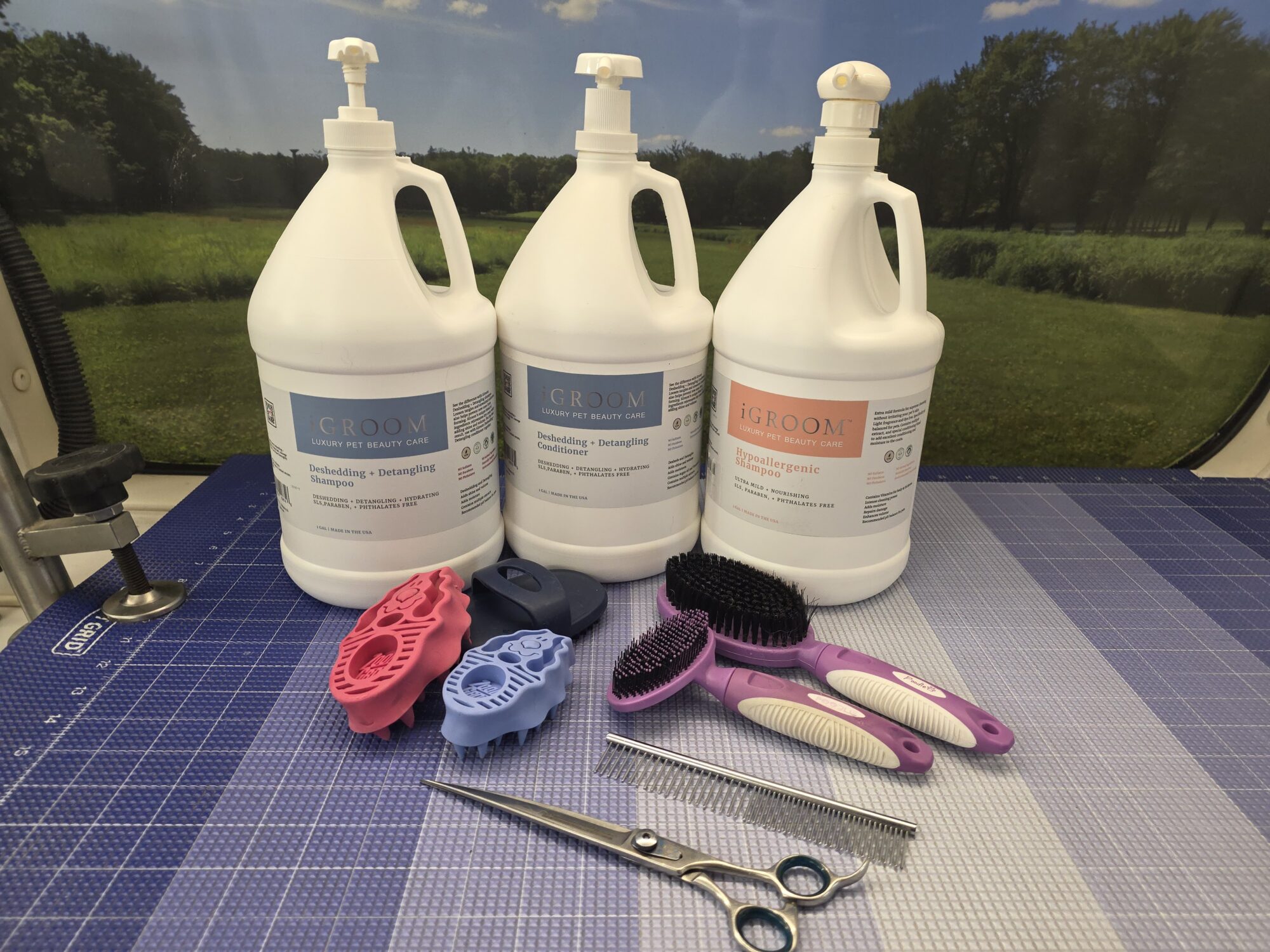 Professional dog shampoos and conditioner arranged with rubber scrubbers, brushes, a metal comb and grooming shears